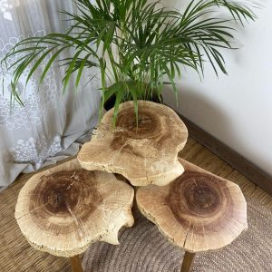 جلو مبلی و عسلی